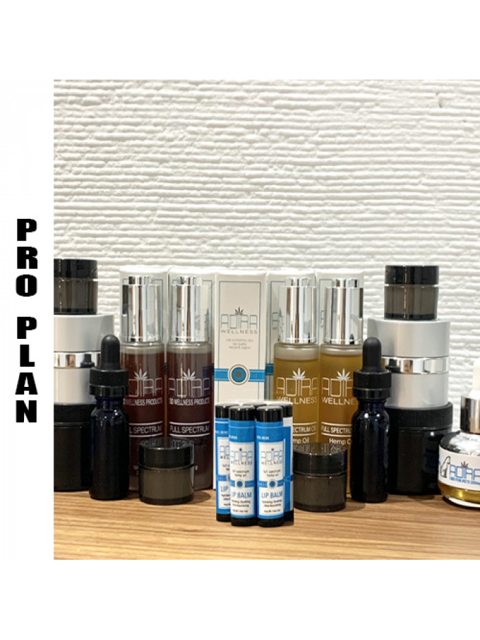 PROFESSIONAL AFFILIATE PKG - Join $495.00  ($55 Registration Fee Waived - Retail Value $890.00)