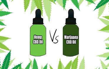 HEMP Oil vs CBD Oil: What's the difference?